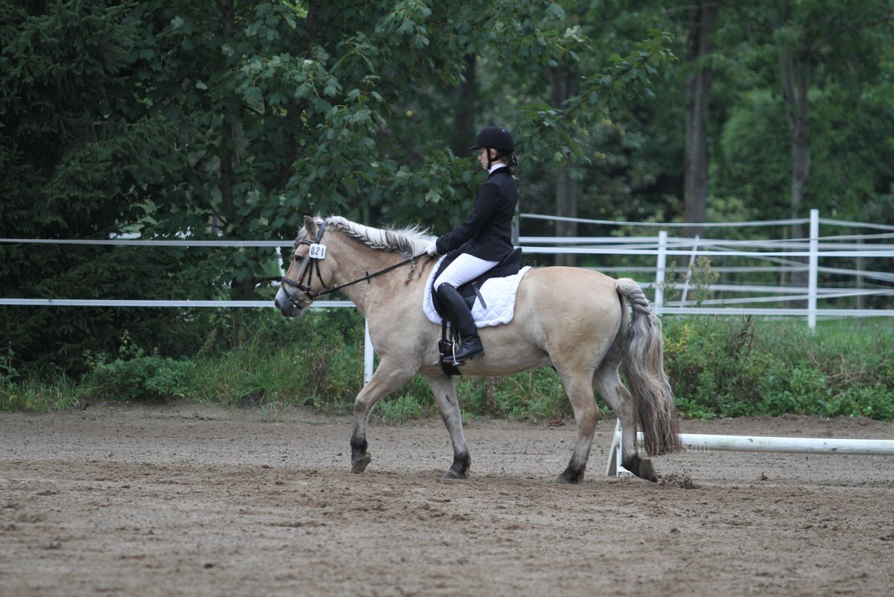 Bild 437 - WBO-Turnier am 18.9.11